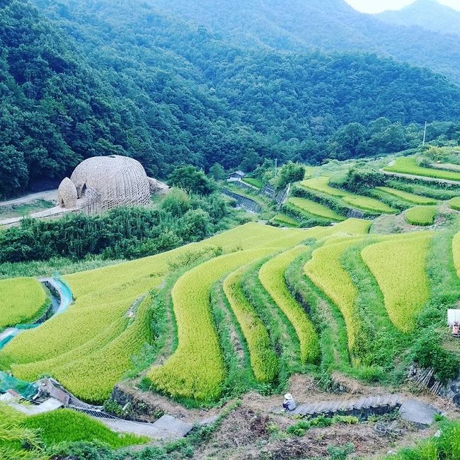 お盆の時期に小豆島にキャンプに行きました。行き先を小豆島にした決め手は、海と瀬戸内国際芸術祭2016が開催中だったので、ちょっとアート作品に触れられるところ。アートがメインではありませんが、キャンプに海水浴に作品鑑賞に楽しい旅になりました