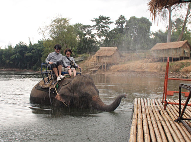 初めてのタイ旅行。旅の前半カンチャナブリがまだまだ続きます。<br /><br />タイに行くからには、ゾウにも乗ってみたいわ～　ということで<br />ナムトック駅から近く、川でのアクティビティがあるエレファントキャプに問い合わせ。<br /><br />Mahawangchang Elephant Camp<br />https://www.facebook.com/MahawangchangElephantCamp/<br /><br />予約のやりとりはFBメッセンジャーでしました。<br />もらったアクティビティメニューは以下。(原文ママ)<br />---<br />1. Elephants riding: 20 minutes 400 baht per person // 45 minutes 800 baht per person<br />2. Bathing with elephants: 800 baht per 25 minutes per person <br />3. Elephants care : 2,500 baht per 3 hours per person <br />     - feed the food<br />     - use easy command with elephants <br />     - riding by don&#39;t use the seat<br />     - mahouts uniform <br />     - Include lunch<br />4. Elephants baby spar : 1,200 baht per 1 hours per person (Spar with herb)<br />5. Bamboo raft: More than 10 person 150 baht per person/ less than 10 person (1-9 person) 1,500 baht per 1 bamboo raft.<br /><br /><br />◆スケジュール<br />　12/30-31　成田発バンコク着<br />　12/31　カンチャナブリに移動<br />　1/1　　カンチャナブリ<br />○1/2　　カンチャナブリ<br />　1/3　　カンチャナブリ<br />　1/4　　フアヒン<br />　1/5　　フアヒン<br />　1/6　　バンコク発<br />　1/7　　成田着<br /><br />1TB≒3.2円