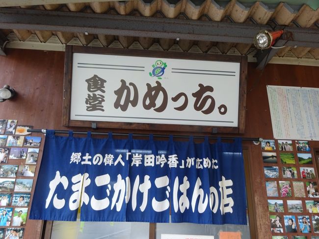 たまごかけごはんの発祥の地。「亀甲」の、「かめっち」に行ってきました。<br />町おこしの企画でオープンして以来、ものすごい人気が出ているし、ごはんとたまごが食べ放題なので、行ってきました。<br />基本はなんといっても「黄福のたまごかけごはん」です。<br />ごはんもたまごもとってもおいしかったです。<br />これで３５０円はめちゃ安かったです。<br />みんな、ふつうに、「おかわり～」って、おかわりしていました。<br />御土産に「たまご１パック」を買って帰りました。<br />