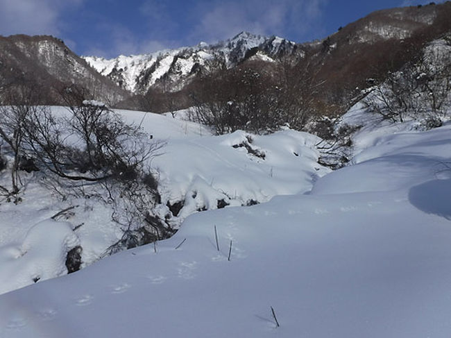 年初めは3連休を利用し南ア塩見岳に行く予定でしたが、塩見にアタックする中日が天気が悪いとのことで3月に延期。日帰りに変更することになりましたが、前々から登ってみたかった積雪期限定の上越荒沢山を計画しました。<br />果たして登れるのか！