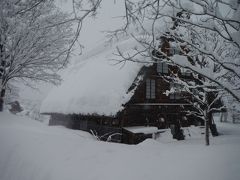 大雪で、何だか分からないけど「白川郷」