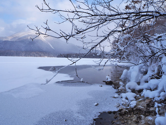阿寒湖上に咲いた冬の華を見る 阿寒 北海道 の旅行記 ブログ By Belleduneさん フォートラベル