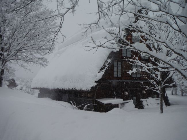 御存知、合掌造りの集落です。<br /><br />当日は大雪、映画・八甲田山状態で何が何だか分からないというスゴい状況でありました。<br /><br />観光ポスター等で白川郷の雪景色が取り上げられますが、適度の積雪だからこそ、の風景なのです。<br /><br />風情のカケラも有りません。<br /><br />しかし滅多に見られない風景に巡り会うことが出来たのは貴重な経験かも。<br /><br />この、翌日は更に大雪だった様で、その前に戻ることが出来ましたが乗った<br /><br />電車もベタ遅れでした。<br />