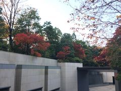 紅葉の箱根路で道に迷う