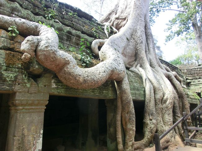 久しぶりのアジア　タイ、カンボジア個人旅行　カンボジア編③