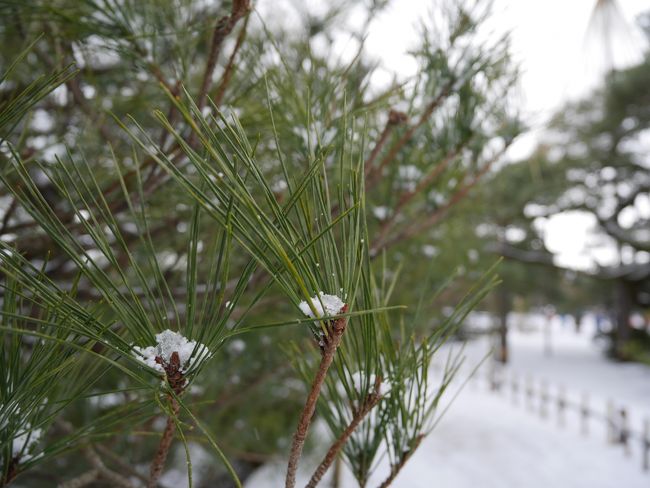 今季最強の寒波到来！　雪の金沢を歩く旅　後編