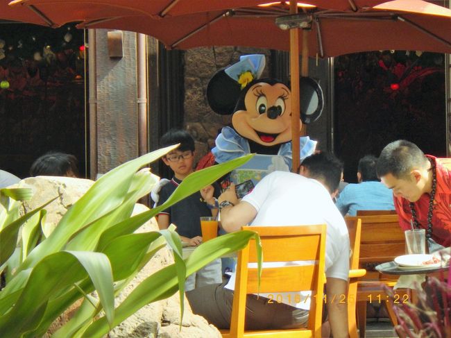 ディズニーは、写真が多いので、10迄順次UP致します。　<br /><br /><br />Aulani, A Disney Resort &amp; Spaの本館から庭に入った最初のレストランで、此処では食事中にキャラクターが来てくれる様です。<br /><br />ディズニーファンには楽しいのでしょう。<br /><br />私のようなディズニーの夢から覚めた親は楽しいフリしているのかな～～～。<br /><br />食事は食事で静かに食べたいですから、私どもには合わないと言う結論で、ディズニーのシェア物件の購入は止めました。<br /><br />南国hawaiiでは、縫い包みは流石に頭だけですが、暑いでしょうね(^_^;)<br />それも考えてしまい楽しめません.・・・共感能力が・・。<br />中でどんな顔して仕事を頑張っているのか・・頑張れ！！<br /><br /><br />今回は、同じエリアのMarriott&#39;s Ko Olina Beach Clubに宿泊していて、<br />各ラグーンを結ぶ遊歩道を、数回のWalkingをトライして、数日目にやっとたどり着けました（此の頃、マウナケアや南米の高山への機動登山での高山病対策の為に筋肉を落とすという口実で、ジムでの運動を怠けています。<br /><br />後日談：高山での高山病が出ても、筋肉を落としてはいけない・・・って事がわかります。　なかなか戻らない。<br /><br />https://youtu.be/ta8dvY2k9g4<br />Marriott&#39;s Ko Olina Beach Club　や　Ko Olina Golf Club　、Aulani, A Disney Resort &amp; Spa等の敷地内のホテルやコンビニを循環している無料バスからです。<br />敷地内に宿泊していれば、片道をラグーン側を歩き、飽きたら帰りは此のバスで帰れます。　３０分に一回程度ですが、乗る人は少ないので、どこまで行くのか聞かれて、真ん中をすっ飛ばして行ってもくれます。<br /><br /><br />