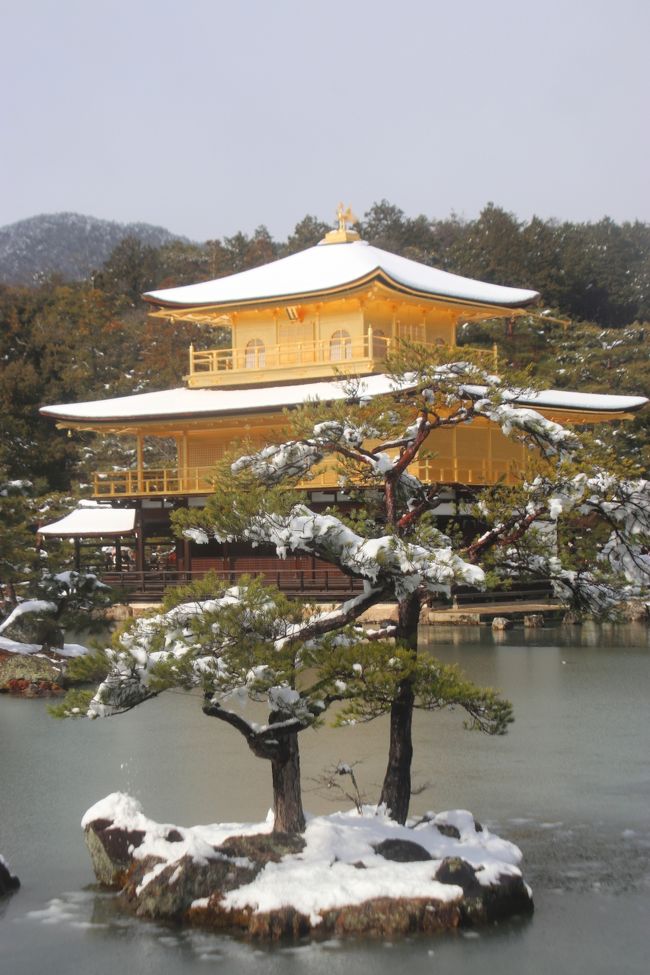 　前日の都道府県女子駅伝で雪の降る京都を見て、また、当日、ライブカメラで雪の金閣寺の様子を見て、以前から行きたかった雪の金閣寺に行ってきました。<br />　雪の京都は数十年前にお寺で泊まった時、偶然夜中に雪が積もり雪の三千院に行って以来2回目です。<br />　<br />○　金閣寺<br />　<br />　　正式名称を鹿苑寺といい、相国寺の塔頭寺院の一つ。舎利殿「金閣」が特に有名なため一般的に金閣寺と呼ばれています。<br /><br />　元は鎌倉時代の公卿、西園寺公経の別荘を室町幕府三代将軍の足利義満が譲り受け、山荘北山殿を造ったのが始まりとされています。<br /><br /><br />日程<br /><br />金閣寺　⇒　竜安寺　⇒　仁和寺　⇒　嵐山<br />　
