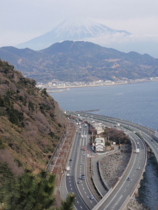 天気は概ね晴天。本日は、広重の浮世絵で有名な薩垂峠を越えながら、蒲原宿から由比宿、興津宿へと西に進む。<br /><br />【由比宿】<br />「慶長六年（1601）、江戸幕府は東海道に宿駅伝馬制を設け、由比宿はこの年に宿場として指定されました。東海道五十三次が確定したのは三代将軍家光のころで、由比宿は江戸から十六番目の宿駅でした。宿内には大名や高貴な人が宿泊する本陣、彼らの道中での馬や人足を調達する問屋場、一般旅客の宿泊・休憩する旅籠・茶屋などがありました。由比の本陣職、問屋職を勤めた岩辺家は、鎌倉時代より続く由比氏の系統で、江戸時代は代々「岩辺郷右衛門」を名乗りました。 <br />天保十四年（1843）の「東海道宿村大概帳」によると、由比宿の町並みは東西五町半（約六〇〇メートル）、宿高は、三四〇石、人口は七〇七人、戸数は一六〇軒あり、このうち本陣一、脇本陣一、旅籠三二となっています。このように由比宿は小規模であったため、義務であった百人・百匹の常備の人馬をおくことができず、近隣の村を加宿とし応援をしてもらいました。 <br />宿場の西端にある由比川は仮板橋で、大水が出るときは取り外すので川留め（通行止め）となりました。また、宿場の東西の入口には万一の攻撃に備えて街道をカギの手に曲げた桝形があり、今でもその面影を残しています。 <br />由比宿の中心であった由比本陣は、石垣と木塀で囲まれた遮蔽形の本陣で、本陣館、土蔵、離れ座敷がありました。惜しくもその多くは失われてしまいましたが、一三〇〇坪（約四三〇〇平方メートル）の広大な敷地、馬の水飲み場の石垣などが当時の姿を留めています。」（ウイキドペリアより）