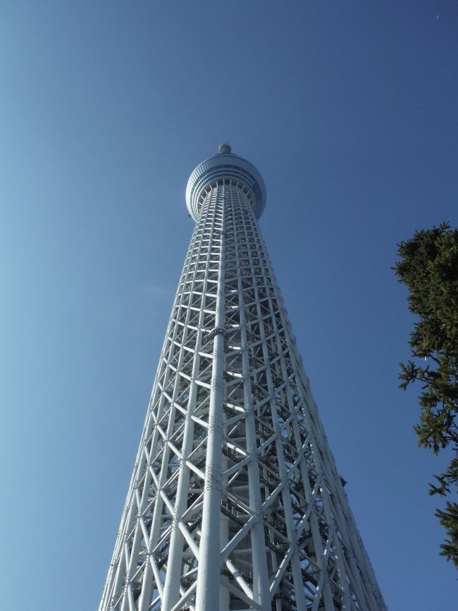 私のマイルが流れそうになったこともあり、奥さんと二人で、一泊旅行してきました。目的地は東京です。<br /><br />二日目は分かれて、私は一人で靖国神社に、奥さんは現地のお友達と二人連れだって観光に行きました。