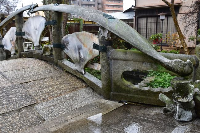 大阪市東淀川区の瑞光寺（ずいこうじ）境内にある鯨の骨がでつくられた「鯨橋」を訪れます。<br /><br />翌日は商売繁盛を願う十日戎（とおかえびす）の宵戎。<br />堀川戎の福笹授与は、福娘が鈴を鳴らしながら「商売繁盛 家内安全 おか～ぐら～（お神楽）」と掛け声をかけます。<br /><br />今日から３日間、大阪の街を歩きます。青春18きっぷを利用して川崎から行くので、実質２日間の街歩きになります。<br />