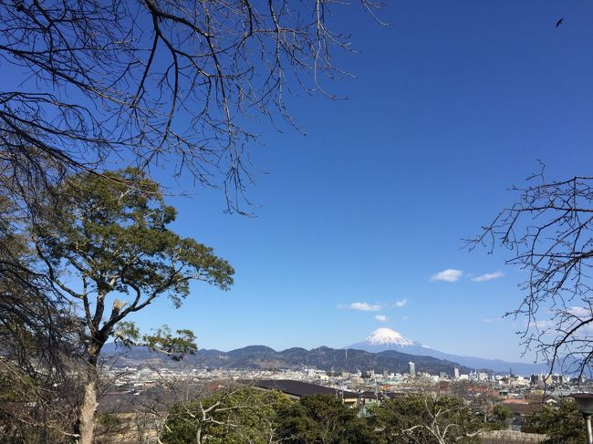 例年この時期には、近くの「清水船越堤公園」の池にパンダカモが飛来してきます。<br />遠くに見える富士山の眺望と、今年の干支の酉年にちなみパンダガモのバードウオッチングのため、公園を散策しました。