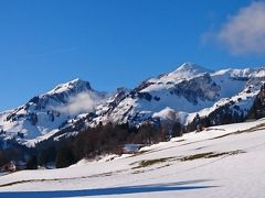冬の東スイス・雪道をお散歩【スイス情報.com】