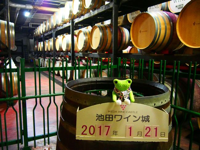 毎年恒例の帰省です。<br />年末年始だと飛行機代だけで10万円コースなので、少しずらしてこの時期に帰省しています。<br />今回は両親に温泉をプレゼント(自分も温泉に行きたかった)<br />十勝川温泉に宿泊しました。<br />その他は池田町のワイン城に行ったくらいでほとんど出掛けていません・・・<br /><br />冬の十勝はとっても寒いですが、とってもいい所ですよ。<br />モール温泉は気持ちいいし、ごはんも美味しい、スイーツも盛り沢山です。<br />帰る頃には体重増加間違いなしかも・・・<br /><br /><br />★飛行機(ANA)<br />伊丹ー羽田(特典航空券5000マイル)<br />羽田ー帯広(旅割55 ¥12,490<br /><br />帯広ー羽田(旅割55 ¥11,590)<br />羽田ー伊丹(特典航空券5000マイル)<br /><br />★ホテル(じゃらん利用)<br />十勝川温泉第一ホテル<br />豆陽亭★55日前予約 早期予約でお得に十勝を楽しむ(事前決済限定)<br />朝、夕(十勝ビュッフェ)付<br />¥29,808(3人で利用1人@¥9,936)