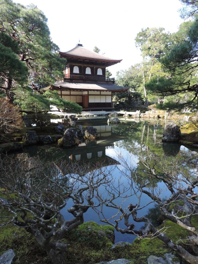年末、長浜・彦根と見学して新年はいよいよ京都へ！<br /><br />混んでいるだろうな～と思いつつ行ってみたら…予想を超えた混雑具合(笑）<br />表紙は銀閣寺にしてみました<br /><br />