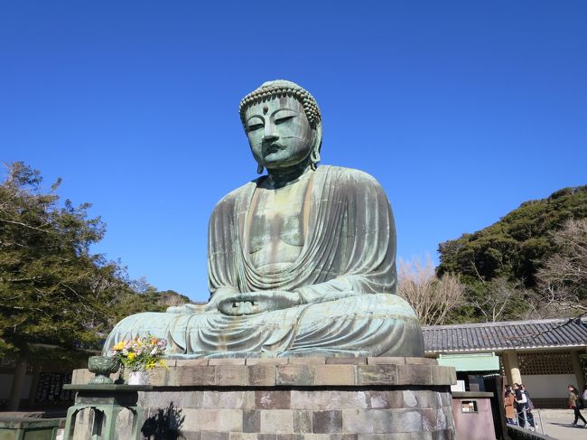 新春 鎌倉葛原岡・大仏ハイキングコースを歩く<br /><br />1月26日(木)横須賀線・北鎌倉駅改札AM9.30集合で、元会社仲間五人で久しぶりに鎌倉と江の島を歩いてきました。<br /><br />コース前半<br />北鎌倉駅(9:30)--葛原岡・大仏ハイキングコース--大仏--長谷駅<br /><br />コース後半<br />江の島駅(12:00)--江の島--湘南モノレール--大船駅--大船観音<br /><br />天気も良く楽しく良い一日が過ごせました。