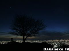 絶景　秘境　最高の夜景　大阪　生駒より見る大阪平野