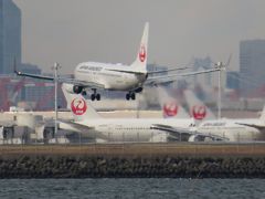 飛行機好きにはたまらない！