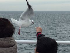 2017年 新年九州北西部（佐賀・長崎・熊本） 【6/7】 1月7日 長崎の旅３／熊本の旅１ - 自然の猛威、他