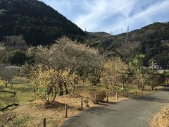 観梅の名所・「曹洞宗・久住山洞慶院の梅園」を訪ねて！