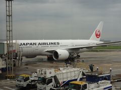 日本航空 JL0081/0082 羽田⇔上海 エコノミークラス搭乗記