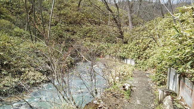 ご覧戴きましてありがとうございます。<br /> 2016年5月3日から2016年5月8日の6日間、北海道へ旅行に行ってきました。<br /> そのうち5月5日は「乗車券往復割引きっぷ」という割引切符を使用し、札幌市内にあるホテルを基点に登別まで日帰り?観光してきました。<br /> 2部構成で紹介しており、今回はそのうち後編です。