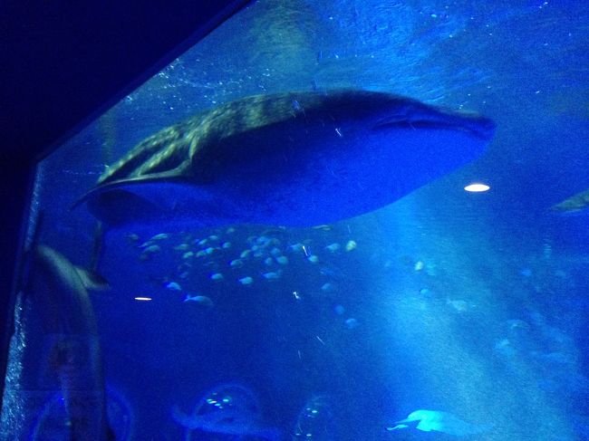 能登島水族館