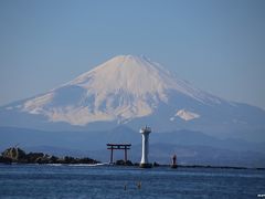 富士山を眺めながら葉山から逗子まで海岸散歩