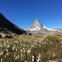 いつかある日ではおそい！スイスへGO! vol.16  陽ざしが眩しいゴルナーグラード！！青空と氷河とマッターホルンがめっちゃ綺麗です！！