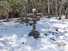 雪の武川岳から二子山へ