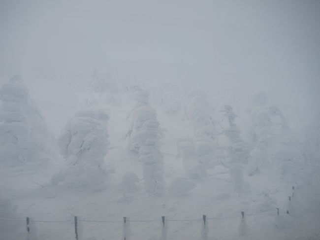 ２日目はいよいよ蔵王の樹氷！待ちに待った樹氷！！<br />大雪のため交通が心配とのことで早めの出発7:45！<br />でも朝食会場が7:00からしか開かないらしい！<br />山形弁の車掌さんが観光案内してくれる長井フラワー線と山形タス物産館には交通事情で寄れず。<br />市内の雪道でスリップ衝突事故を起こしてバスを乗り換えたりと色々と起こりましたが念願の樹氷は観れました！<br />添乗員さんもお話上手で当たりでした！<br />クラブツーリズムって昼食とか食事が付いてないから安いのかな？