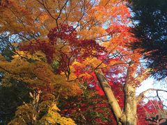 歴史・芸術