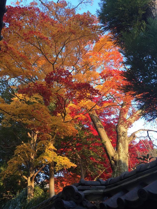 長野、松代、小布施、須坂、上田の旅⑤(須坂編)