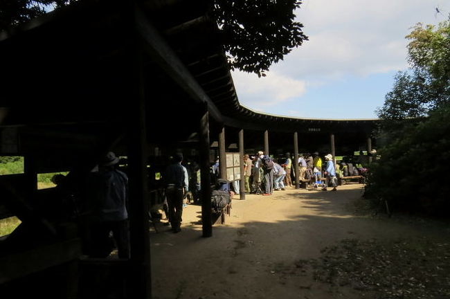 東京港野鳥公園に、珍鳥シマアカモズが出ているとの情報を戴き、友人と一緒に見に行きましたが、残念ながら見つけられませんでした。<br /><br />表紙写真は、東京港野鳥公園のハイド（野鳥観察舎）で、シマアカモズを探すバードウォッチャーです。<br /><br />