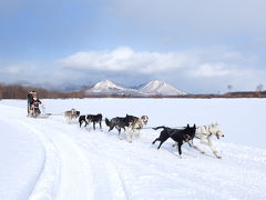 盛りだくさんの観光メニューで真冬の北海道を満喫！