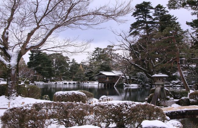 幻想的な風景で人気の白川郷ライトアップ。2010年に行く予定だったのが夫の急な仕事でドタキャンして、はや7年。今回は夫が急に代休を取れることになったので、出発1週間前にツアー参加を決めました。<br /><br />今回のツアーは白川郷を見たあと金沢に宿泊し翌日は兼六園と五箇山を散策するという行程。初日は幻想的な白川郷のライトアップを堪能し、２日目は朝一番で兼六園を見に行きました。以前訪れた時は暖冬で雪が全くなかったのですが、今回はきれいに雪化粧した兼六園を見ることができ、こちらもリベンジを果たしました。　