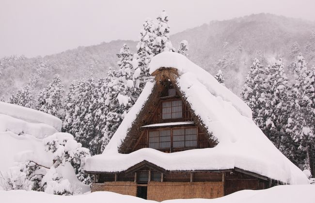 白川郷のライトアップと兼六園・五箇山をめぐるツアーに参加してみました　(３）豪雪とこきりこの五箇山