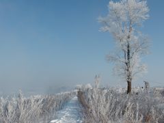 誰も見たことのないWusong Islandの絶景（樹氷/霧氷）Day2　Part1/2