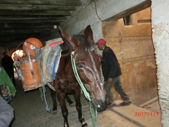 アフリカ モロッコ 6泊8日(フェズ)<br /><br />JTB 29名の添乗員ツアーで、モロッコを観光バスで1周しました。<br />①ラバト→②シャウエン→③フェズ→④イフレン→⑤エルフード→⑤メルズーガ(サハラ砂漠)→<br />⑥カスバ街道→⑥トドラ渓谷→⑦ワルザザード→⑦アイト・ベン・ハッドゥ→⑧マラケシュ→⑨カサブランカ<br />大西洋と地中海、サハラ砂漠に囲まれ、中央に4000m以上のアトラス山脈がある、変化に富んだモロッコを堪能しました。<br /><br />象牙色の迷宮 フェズを2時間散策しました。<br />皮工場のタンネリに寄って皮製品ができるまでの工程を見ました。<br /><br />フェズ旧市街は、西のブー・ジュルード門から、左のタラアケビーラ通りを<br />ブーイナニアマドラサ見て、下り坂を800mほど行くと香料のアッタリーンスークを経て突き当たりのカラウィンモスクに行きました。約1kmです。<br />直ぐ狭い通りを南に行き別れ道を右に行きサファリーン広場に出ました。<br />真鍮細工のスーク、ザウィア ムーレイ イドリス廟と見て、<br />皮なめし工場タンメリに行きました。<br />上からタンネリ工場を眺め、11時半からタジン鍋を食べに行きました。<br /><br />フェズに泊まり、タジン料理を食べました。<br />ラバトに続いて2泊目です。<br />だいぶ内陸に入ってきました。<br />明日はアトラス山脈を越えます。