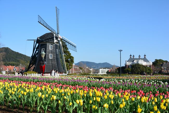 来週オランダとかいろいろヨーロッパを回る予定なので、予習を兼ねてハウステンボスに行ってきました。<br /><br />元々旅行記書くつもりなかったので食事とか撮ってないけど、景色がキレイでたくさん撮ってしまったのでUPしました。<br /><br />特に夜景が素晴らしかったです。