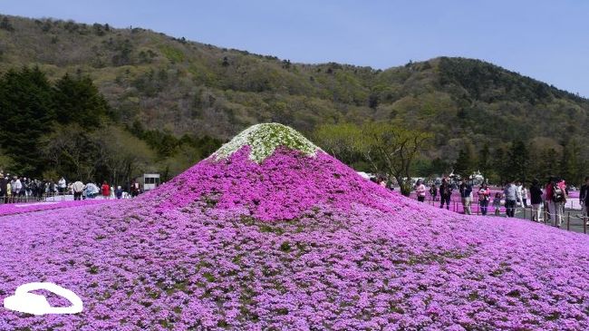 2016年のゴールデンウィーク。特に遠出の予定もなく、天気が良ければ近場で1泊程度の旅行をと考えていたところ富士五湖周辺の観光地に目がとまった。<br />ちょうど富士五湖ぐるり乗車券というフリーきっぷもありある程度の周遊で元が取れそう。<br /><br />関東近郊に位置しながらこれまで訪れたことがなかったものの、見どころは多く楽しめた。<br /><br />初日<br />新宿～大月7:51～河口湖8:43<br />河口湖9:00頃～芝桜まつり会場10:40頃～本栖湖～精進湖～富岳風穴～鳴沢風穴～西湖コウモリ穴～<br />西湖～河口湖～山中湖～道の駅～ホテル<br />