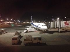 ANA322便   富山空港→羽田空港