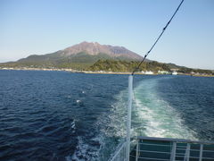 鹿児島で桜の花見