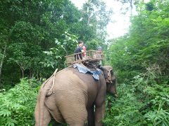 2度目の１歳子連れ海外旅行 タイ③ (カレン族の村でホームステイとジャングル象乗り、ミャンマーへの国境越え編)
