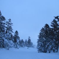 宮城蔵王～樹氷見学の予定が地吹雪体験へ