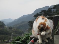 またまた台湾上陸！美味しかった旅　前半