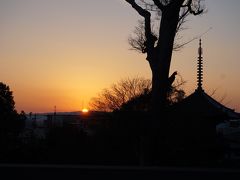 帰省の合間に…ぶらり奈良と大阪観光