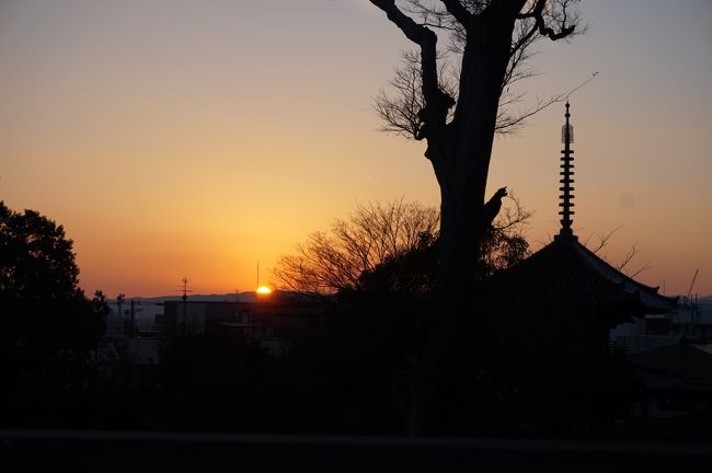 年末年始は実家で過ごします。<br />しかし、せっかくなら隙間時間にでもぶらりと観光したいー！<br /><br />２０１７年はこのように観光しました。<br /><br />１月１日…奈良をぶらり→旦那の実家へ<br />１月２日…私の実家へ<br />１月３日…大阪をぶらり→関東へ帰る<br /><br />このように隙間時間を使い、奈良と大阪をぶらり散策しました。<br />