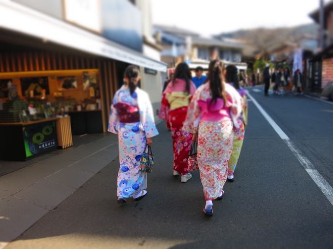 恒例となりました！怪しいバスツアー<br />今回は怪しいツアーの常連さんに優待ハガキが届いているようです。<br />ここ数年、「当選」やら「優待」やらで案内が頻繁に届くようになりましたが、<br />日程さえ合えば母と参加<br /><br />今回も行って来ましたよ<br /><br />毎度同じようなバスツアーで申し訳ございませんが<br />しばらくおつきあいくださいませ<br /><br />【旅行記にした過去の当選(優待)バスツアー】<br /><br />2008 当選旅行☆天竜舟下りに寂しく一人参加<br />http://4travel.jp/travelogue/10265690<br /><br />2010 美しさに出逢う!?当選日帰りツアーin石和温泉<br />http://4travel.jp/travelogue/10440434<br /><br />2012 当選バスツアーで抹茶アイス食べて来よ<br />http://4travel.jp/travelogue/10719518<br /><br />2016 恒例☆優待バスツアーで行く！長岡天満宮と嵐山<br />http://4travel.jp/travelogue/11129771<br /><br />2016 雨だけど…恒例☆優待バスツアーで行く養老の滝<br />http://4travel.jp/travelogue/11147721