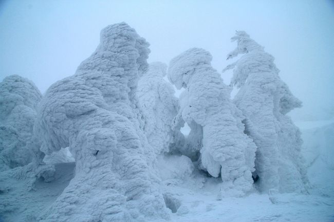 宮城県側からは雪上車で、山形県側からはロープウェイで樹氷見学をするツアーに参加しました。